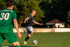 hfc_vs_budissa-42