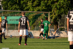 hfc_vs_budissa-43