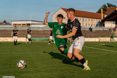 hfc_vs_budissa-44