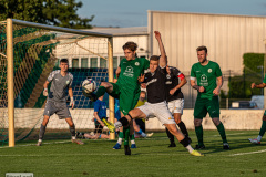 hfc_vs_budissa-46