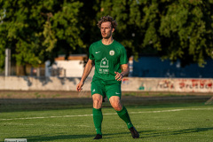 hfc_vs_budissa-47