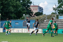 hfc_vs_budissa-6