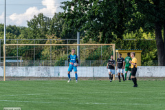 hfc_vs_budissa-8