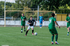 hfc_vs_budissa-9