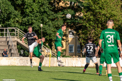 hfc_vs_budissa