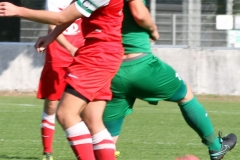 2017-09-30 Hoyerswerdaer FC II in rot - Königswarthaer SV in grün 2:1 (0:1) Foto: Werner Müller