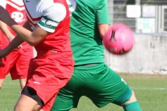 2017-09-30 Hoyerswerdaer FC II in rot - Königswarthaer SV in grün 2:1 (0:1) Foto: Werner Müller