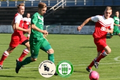 2017-09-30 Hoyerswerdaer FC II in rot - Königswarthaer SV in grün 2:1 (0:1) Foto: Werner Müller