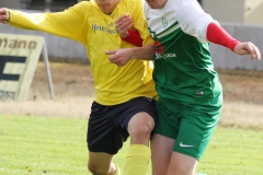 2017-10-21 Hoyerswerdaer FC I in grün - SC 1911 Großröhrsdorf in gelb 0:1 Foto: Werner Müller