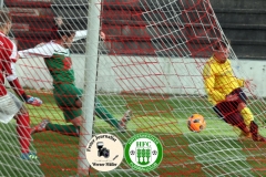 2017-10-21 Hoyerswerdaer FC I in grün - SC 1911 Großröhrsdorf in gelb 0:1 Foto: Werner Müller