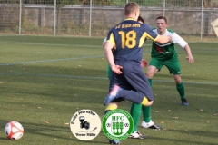 2017-11-04 Hoyerswerdaer FC I in grün - SV Bautzen in blau 4:0 Foto: Werner Müller