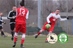 2018-02-10 Hoyerswerdaer FC in rot - SV Grün Weiß Hochkirch 3:0 Foto:Werner Müller