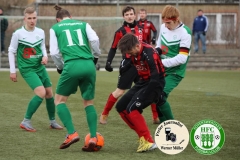 2018-02-24
Kreisoberliga 
Hoyerswerdaer FC I in grün weiß
-
LSV Bergen 1990 in rot schwarz
2:1 (2:0)
Foto: Werner Müller