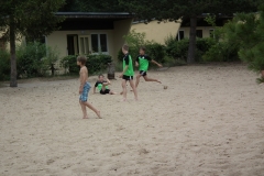 d1DSCF6429