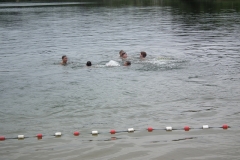 d1DSCF6430