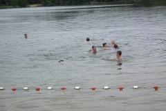 d1DSCF6431
