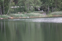 d1DSCF6587