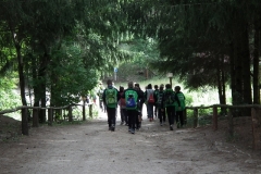 d1DSCF6597