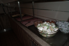d1DSCF6879
