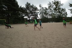 d1DSCF6943