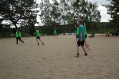 d1DSCF6949