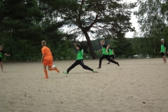 d1DSCF6951
