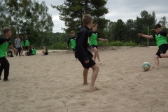 d1DSCF7015