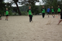 d1DSCF7018