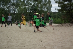 d1DSCF7054