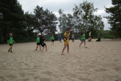 d1DSCF7067