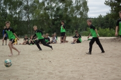 d1DSCF7086