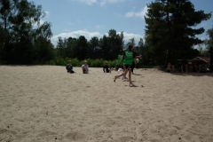 d1DSCF7131