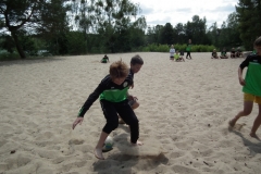 d1DSCF7151
