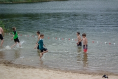d1DSCF7223