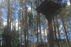 M18T5IMG_5248