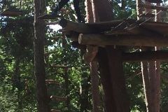 M18T5IMG_5255