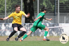 2023-06-03 
Hoyerswerdaer FC in grün 
- 
SV 1910 Edelweiss Rammenau in gelb 
2:0
Foto Werner Müller