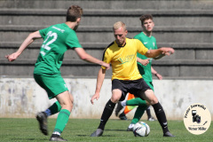 2023-06-03 
Hoyerswerdaer FC in grün 
- 
SV 1910 Edelweiss Rammenau in gelb 
2:0
Foto Werner Müller