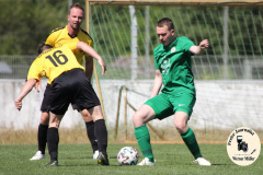 2023-06-03 
Hoyerswerdaer FC in grün 
- 
SV 1910 Edelweiss Rammenau in gelb 
2:0
Foto Werner Müller