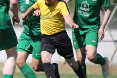 2023-06-03 
Hoyerswerdaer FC in grün 
- 
SV 1910 Edelweiss Rammenau in gelb 
2:0
Foto Werner Müller