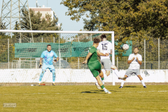 HFC_vs_RotationDresden-90