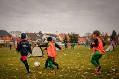 IMG-20211106-WA0035