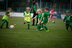 IMG-20210830-WA0021