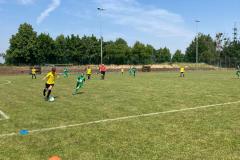 IMG-20210619-WA0017