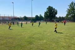 IMG-20210619-WA0025