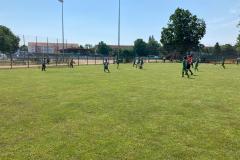 IMG-20210619-WA0028