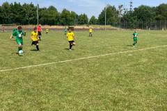 IMG-20210619-WA0030