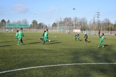 2022.02.12-06-FS-E-gg.-Seenlandkicker