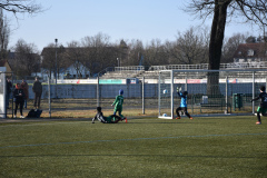 2022.02.12-08-FS-E-gg.-Seenlandkicker
