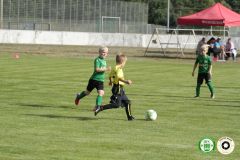 HFC_OB-CUP_0018